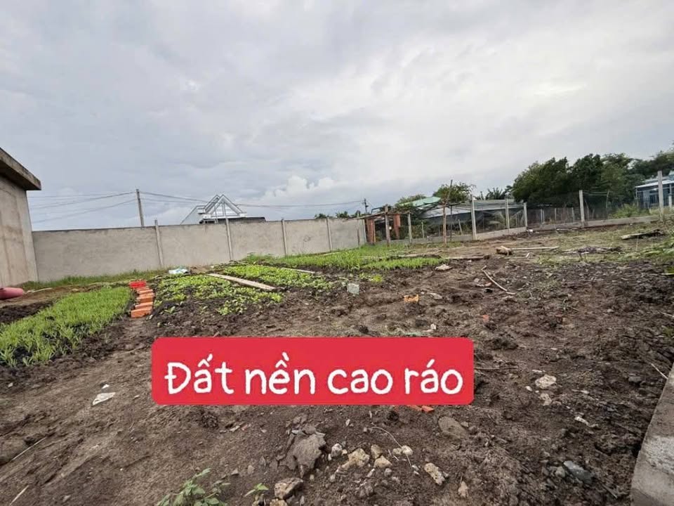 Đất nền Mỹ Lộc, Cần Giuộc 550m² giá 3.9 tỷ - Tiềm năng làm nhà vườn lý tưởng!