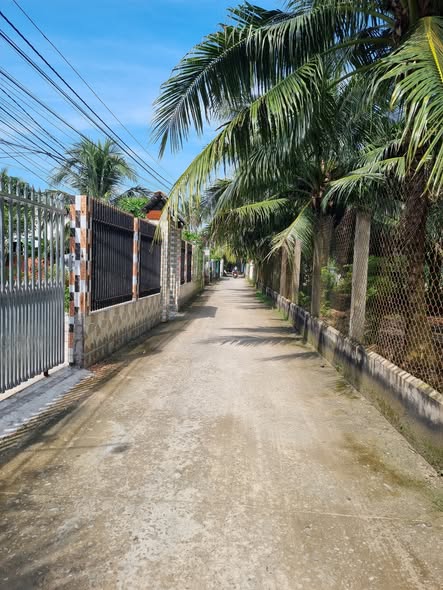 Đất nền Phú Nhuận, Bến Tre 100m² giá 680 triệu - Đầu tư sinh lời ngay!