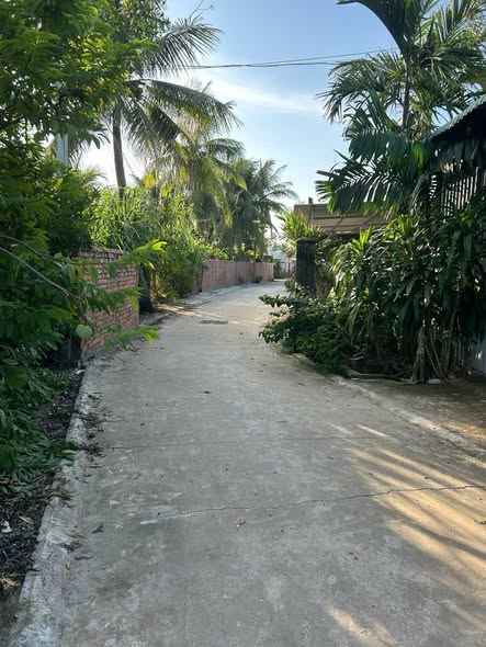 Nhà cấp 4 khu phố Ninh Phúc, phường Ninh Thạnh, 351m² giá 5.51 tỷ - Sẵn sàng vào ở!