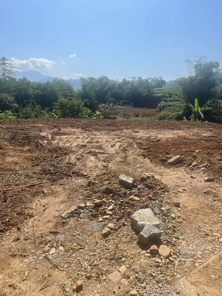 Đất thổ cư 600m² tại Thục Luyện, Thanh Sơn - Phong thủy tốt, giá thỏa thuận!