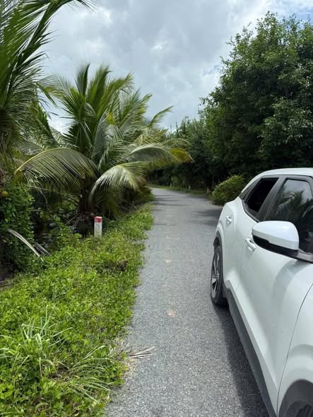 Nhà vườn 1000m² Mỹ Thạnh Đông, Đức Hòa chỉ 700 triệu - Cơ hội đầu tư tuyệt vời!