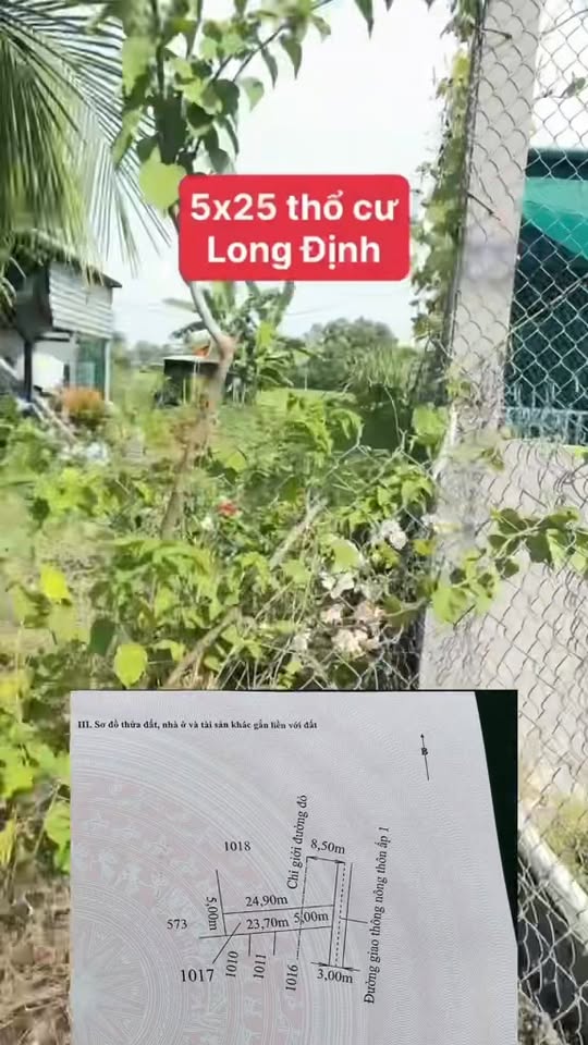 Đất thổ cư 119m² tại ấp 1, Long Định, Cần Đước giá 890 triệu - Cơ hội đầu tư tuyệt vời!
