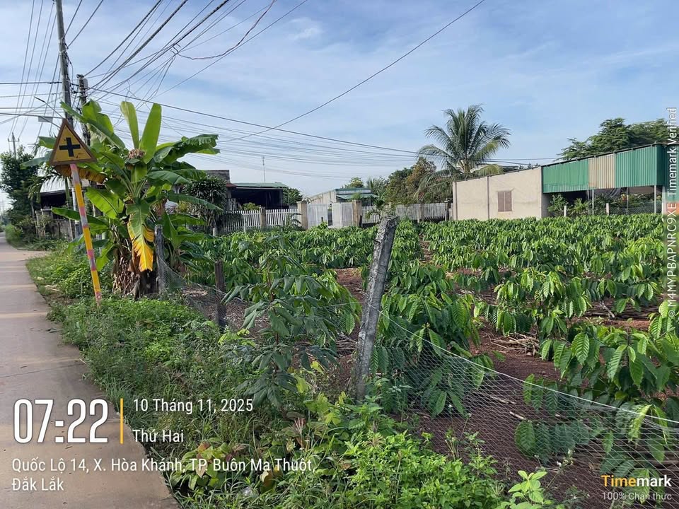 Đất thổ cư Hòa Phú, Buôn Ma Thuột 2900m² - Vị trí đắc địa, cơ hội đầu tư tốt!