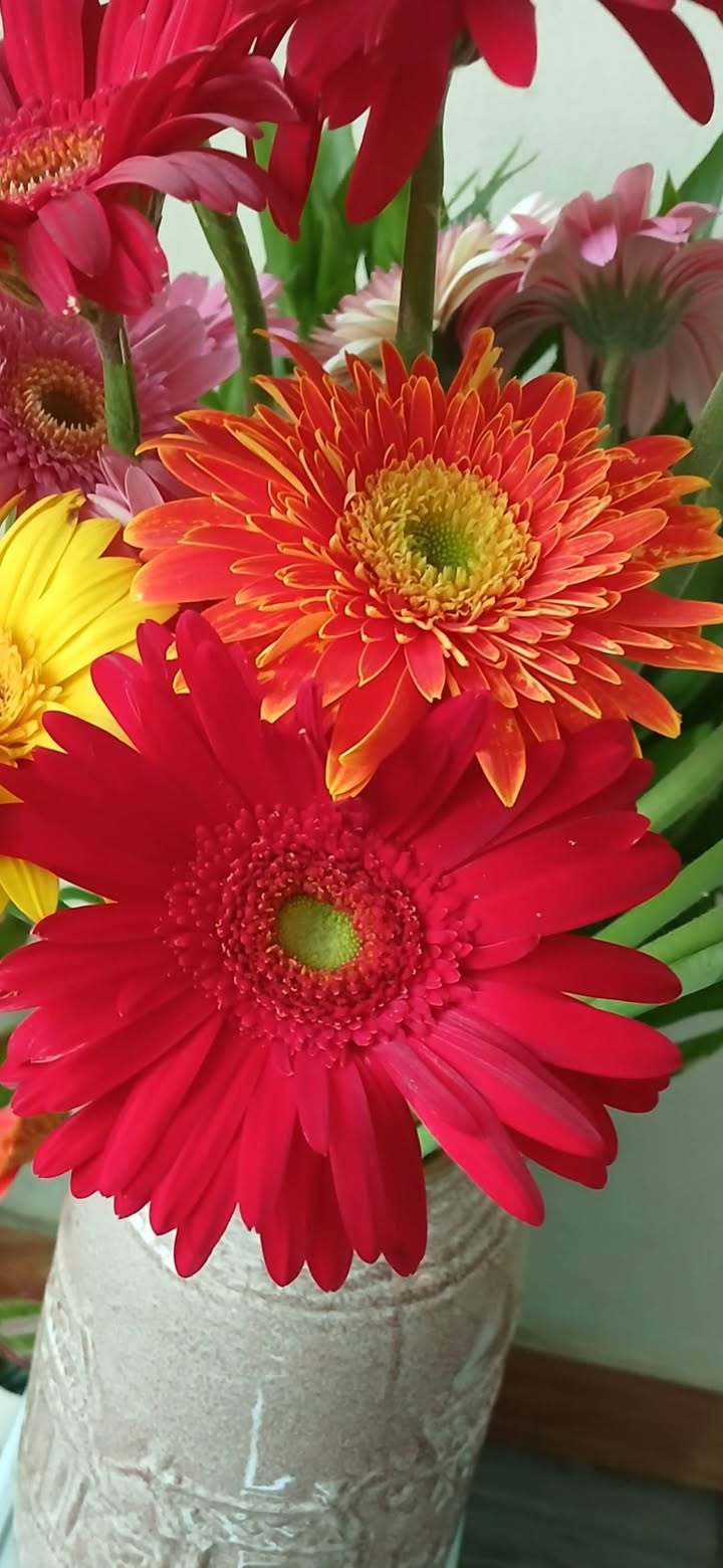 Nhà mặt tiền đường Xuân Thành, Ninh Bình 70m² giá 12 tỷ - Kinh doanh sầm uất!