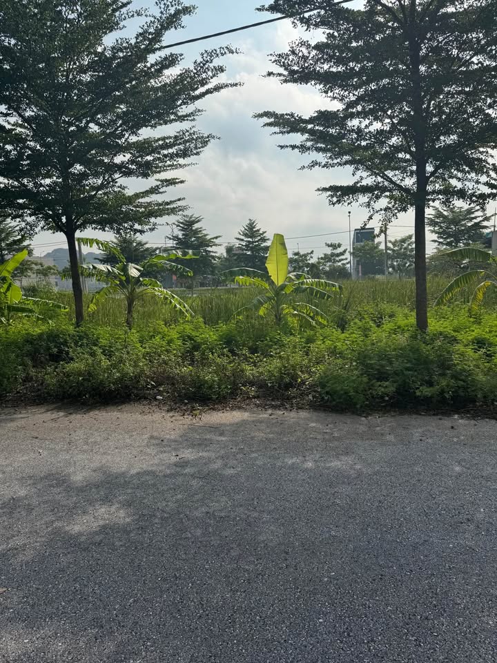 Đất nền Gia Thịnh, Ninh Bình 100m² - Tiềm năng tăng giá cao!