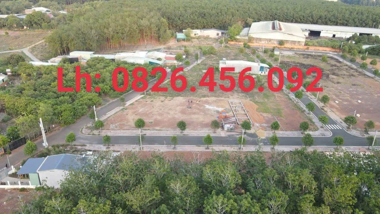 Đất Tiến Hưng Đồng Xoài 954m² - Giá Thỏa Thuận, Xây Biệt Thự Hoặc Nhà Vườn