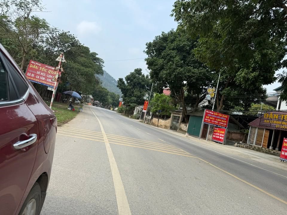 Đất nền Tam Đảo 1250m² giáp sân golf - Cơ hội đầu tư tuyệt vời!