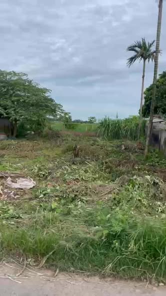 Đất nền Giao Hà 240m² giá 2.5 tỷ - Cơ hội đầu tư tuyệt vời!