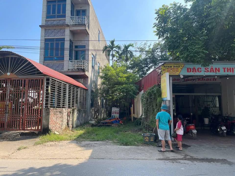 Lô đất 117m² thôn Hoàng Tân, xã Kim Xá, huyện Vĩnh Tường - Đầu tư sinh lời ngay!