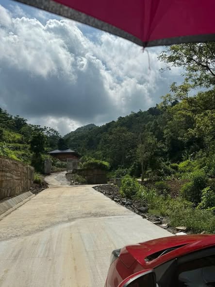 Đất rừng sản xuất 3ha tại Thống Nhất, chỉ 1.5 tỷ - Cắt lỗ nhanh!