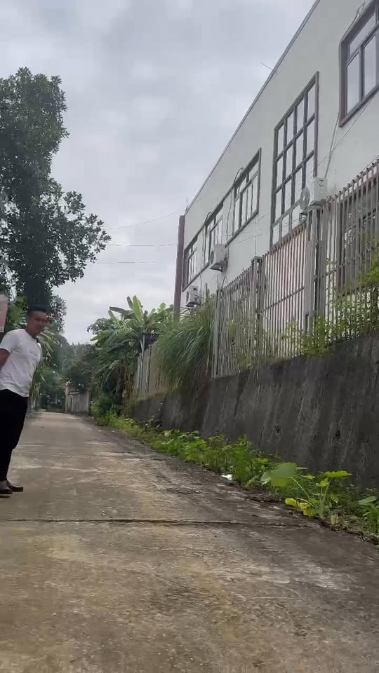 Lô đất đẹp 720m² tại Phú Cát, Quốc Oai, Hà Nội - Cơ hội đầu tư tiềm năng!