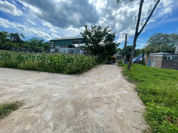 Đất đấu giá tại Xã Vạn Tín, Mỹ Đức 100m² giá 1 tỷ - Cơ hội đầu tư lý tưởng!