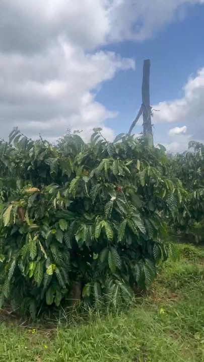 Đất nền xã Ea Tul, huyện Cư M'gar, 360m² giá 138 triệu - Đầu tư sinh lời ngay!