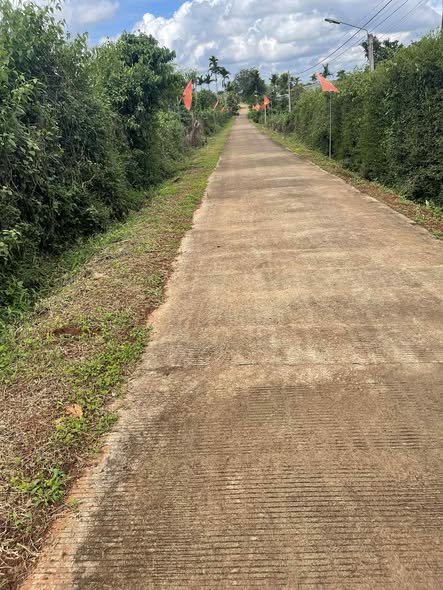 Đất thổ cư 500m² tại xã Ea Tar, Cư M'gar - Cơ hội đầu tư hoàn hảo!