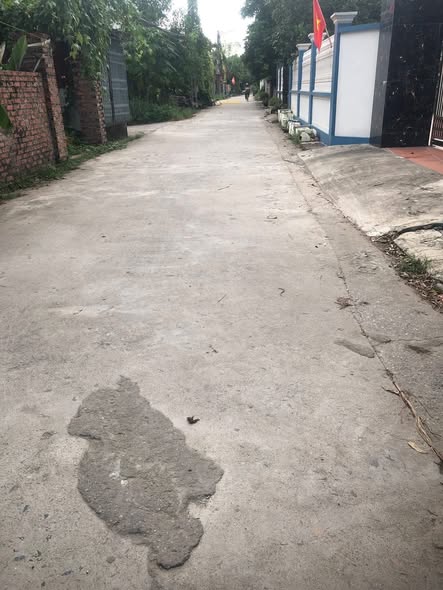 Đất nền Trạm Lộ, Thuận Thành 100m² giá thỏa thuận - Đầu tư sinh lời ngay!