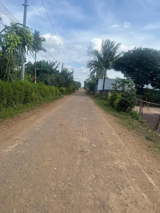 Đất nền Tân Lập Hòa An 570m² giá 1.65 tỷ - Tiềm năng đầu tư lớn!