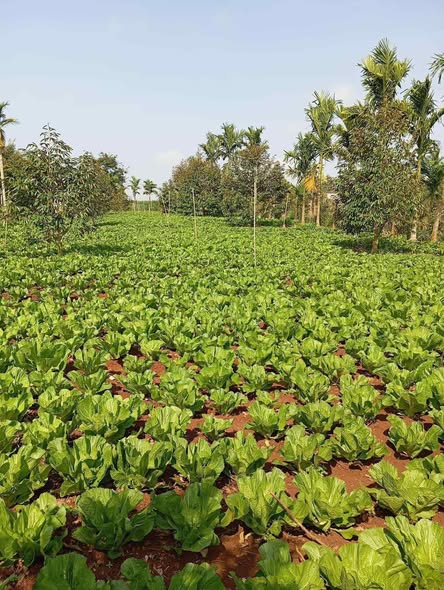 Đất mặt tiền đường nhựa xã Ea Phê 3260m² giá 2 tỷ - Cơ hội đầu tư không thể bỏ lỡ!