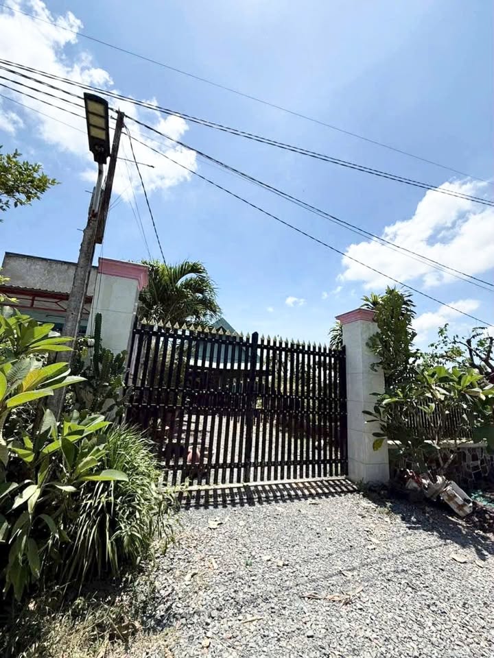 Đất thổ cư 303m² tại Đức Hòa, Long An giá 1.85 tỷ - Đầu tư sinh lời ngay!