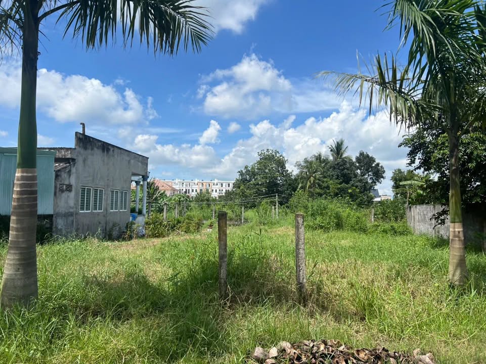 Đất nền đẹp mặt tiền Đường Nguyễn Hoàng Anh, Tân Trụ, 460m² giá 4 tỷ - Cơ hội đầu tư hấp dẫn!