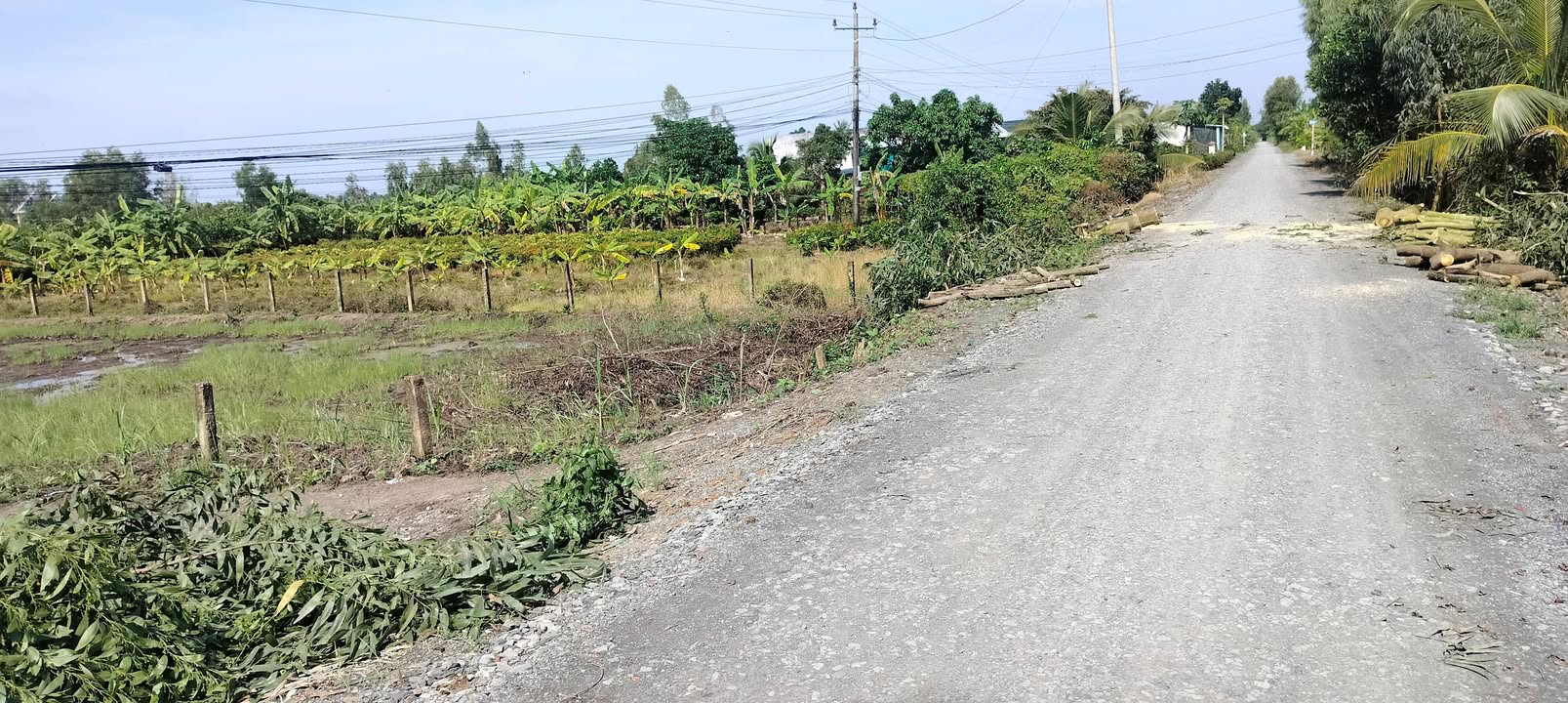 Đất thổ cư 1008m² mặt tiền đường nhựa Tân Thành - Giá chỉ 2.4 tỷ!