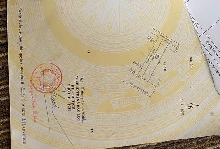 Đất nền mặt tiền Nguyễn Trãi, Bảo Lộc 228m² giá 3.1 tỷ - Cơ hội đầu tư tuyệt vời!