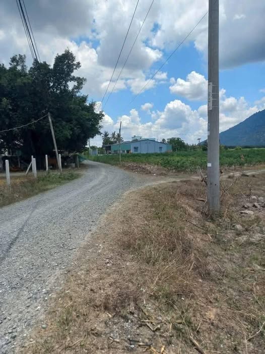 Đất thổ cư Phan, Dương Minh Châu 195m² - Sổ đỏ chính chủ, giá thỏa thuận!