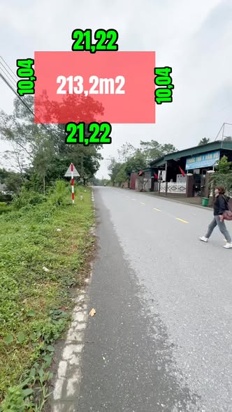 Đất nền mặt tiền đường tỉnh lộ 318, xã Đông Thành, 213m² - Đầu tư sinh lời tốt!