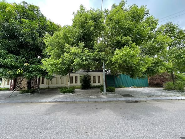 Đất nền biệt thự MB2122 Đông Hải 100m² - Chỉ 20m tới đường Tố Hữu!