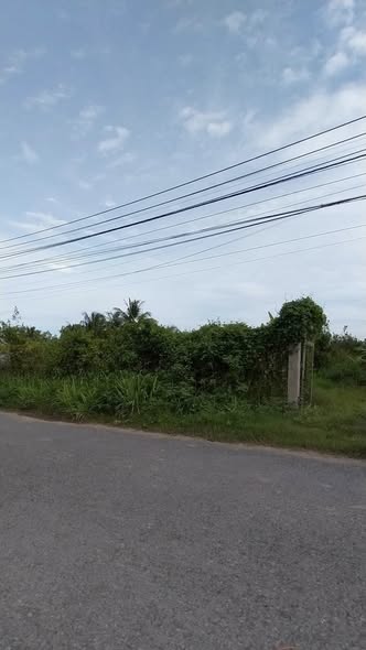 Đất nền mặt tiền đường HL16, xã Đa Lộc, 500m² giá 910 triệu - Đầu tư sinh lời ngay!