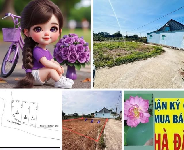 Đất góc 2 mặt tiền đường Tạ Văn Sáu, Đất Đỏ 398m² giá 1.98 tỷ - Cơ hội đầu tư hấp dẫn!