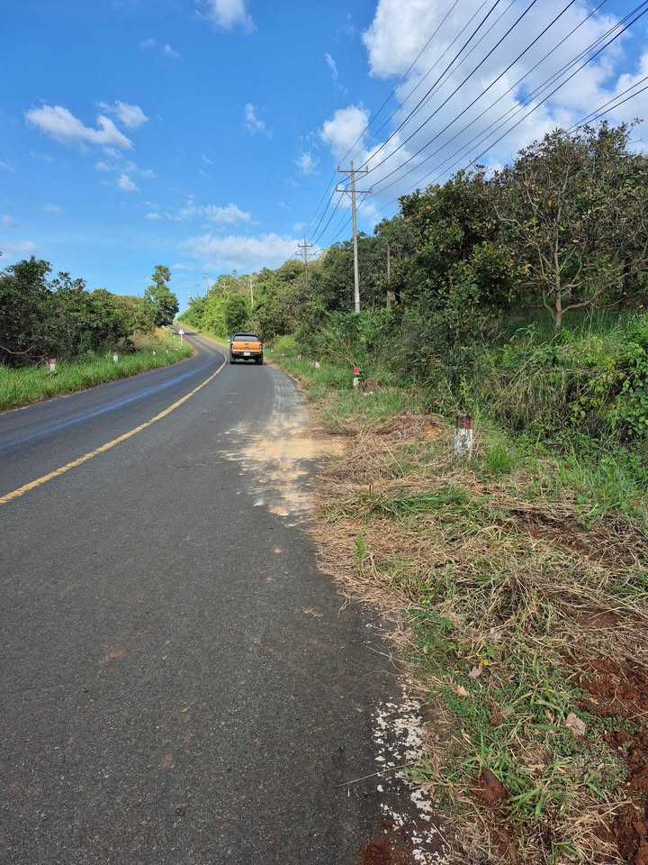 Đất nền Đoàn Kết Bù Đăng 2.9ha giá 2.4 tỷ - Đường nhựa ô tô vào tận nơi!