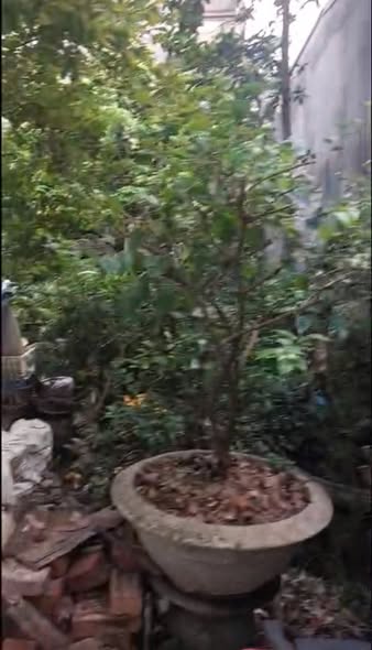 Đất nền Yên Nghĩa, Hà Đông 33.4m² giá 4 tỷ - Sổ đỏ chính chủ!