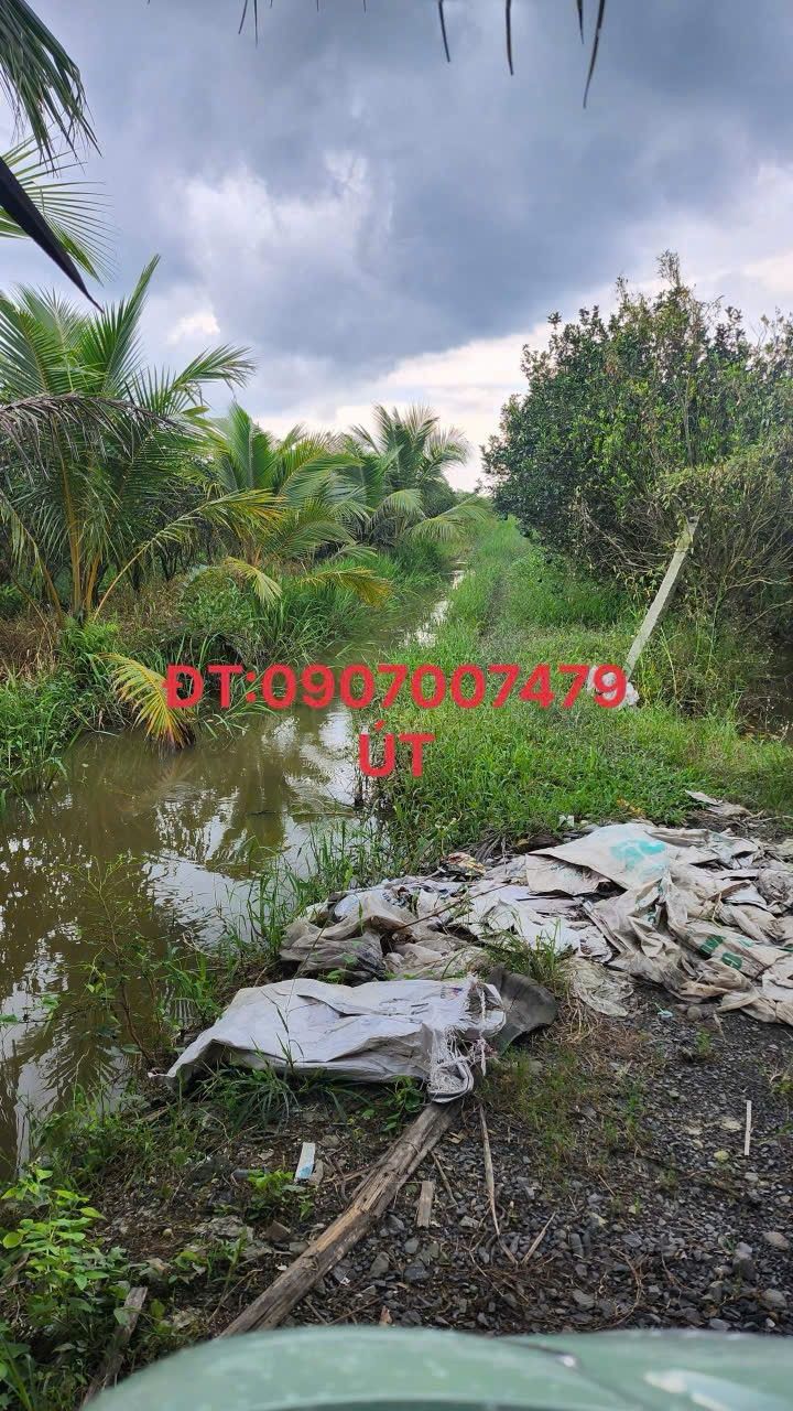 Đất ruộng Hiếu Thành 5,500m² giá 577.5 triệu - Đầu tư sinh lời ngay!