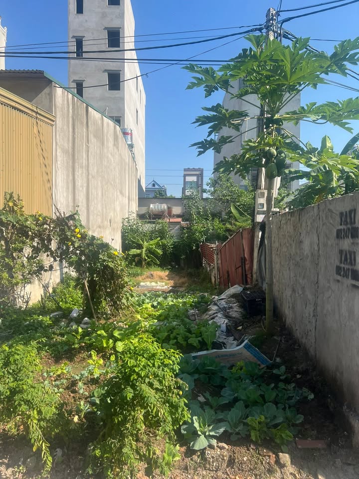 Đất đấu giá KM8 Tiền Phong 81m² giá chỉ 2xxx - Cơ hội đầu tư tuyệt vời!