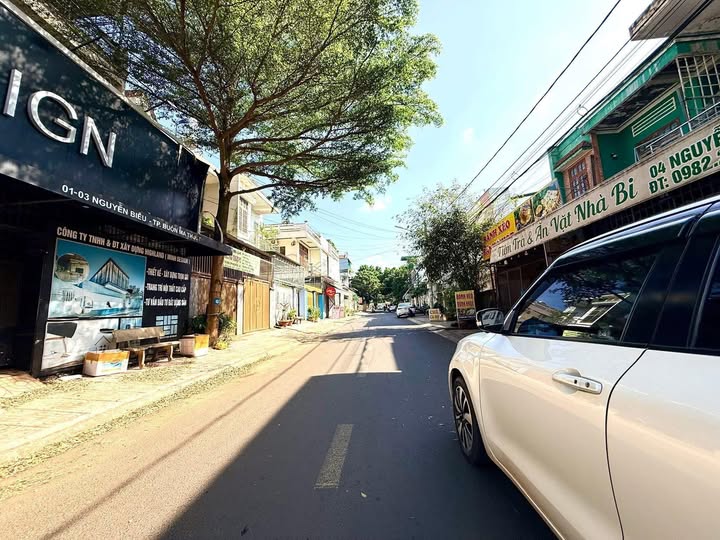 Nhà mặt tiền Nguyễn Biểu, Buôn Ma Thuột 120m² giá 8.1 tỷ - Vị trí kinh doanh đắc địa!