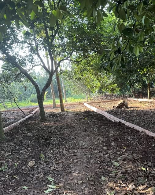 Đất nền Bình Lộc, Long Khánh 145m² - Sổ hồng riêng, tiện ích đầy đủ!