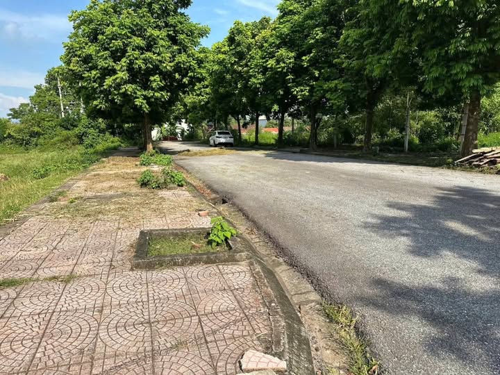 Đất nền Quất Lưu, Bình Xuyên 125m² giá 1.3 tỷ - Cơ hội đầu tư hấp dẫn!