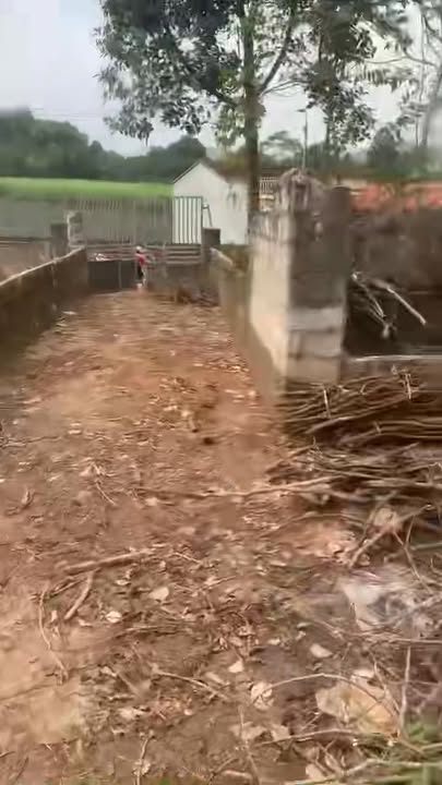 Lô đất 1.680m² tại xã Thành Tân, Thạch Thành - Tiềm năng đầu tư vượt trội!