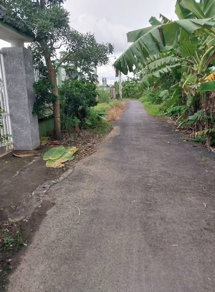 Đất vườn Long Hòa Gò Công 684m² giá 1.5 tỷ - Đầu tư sinh lời ngay!