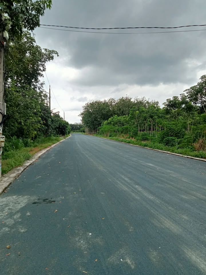 Đất nền mặt tiền đường nhựa lớn tại phường Minh Hưng, 250m² - Giá thỏa thuận hấp dẫn!