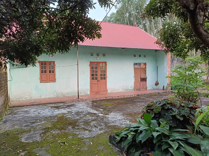 Đất nền Bố Hạ Yên Thế 3200m² giá 1 tỷ - Đầu tư tuyệt vời!