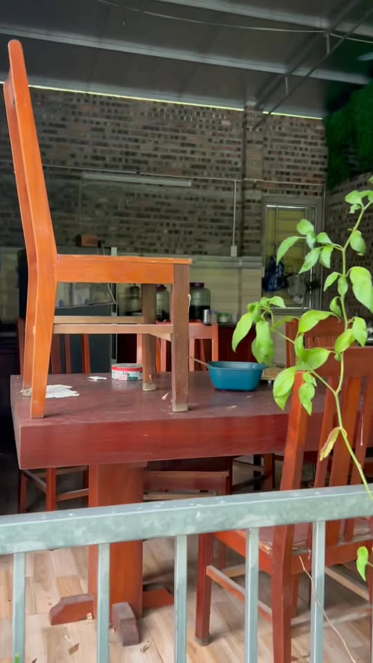 Đất chuyển đổi tại Đồng Tâm Ninh Giang 2000m² giá 1 tỷ - Cơ hội đầu tư hấp dẫn!