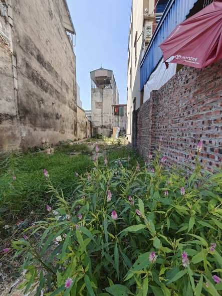 Đất nền Phương Nhị 93m² giá 7.15 tỷ - Cơ hội đầu tư tiềm năng!