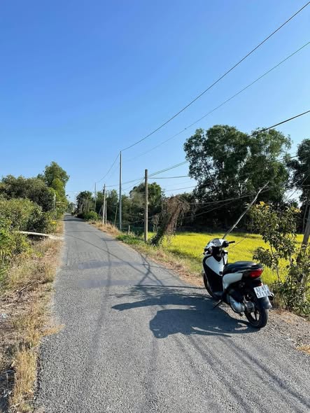 Đất mặt tiền đường nhựa Thủy Đông, Thạnh Hóa 13.905m² giá 7.5 tỷ - Đầu tư sinh lời ngay!