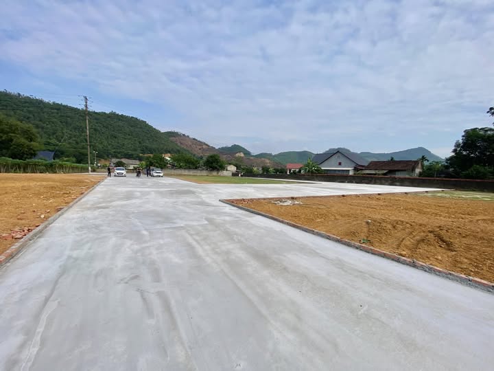 Đất nền Thọ Văn - Tam Nông 115m² giá chỉ 400 triệu - Đầu tư tiềm năng ngay!