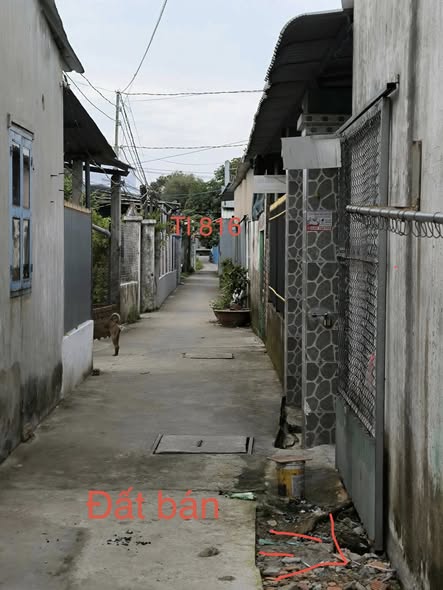 Đất nền Thạnh Đức 100m² giá 750 triệu - Cơ hội đầu tư hiếm có!