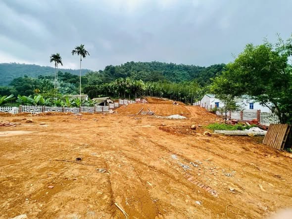 Đất thổ cư Thượng Long Yên Lập 2147m² giá 1 tỷ - Cơ hội đầu tư tuyệt vời!