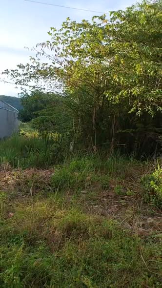 Đất nền khu C&T, P. Hà Tiên, An Giang 125m² giá 1.25 tỷ - Sổ hồng chính chủ!