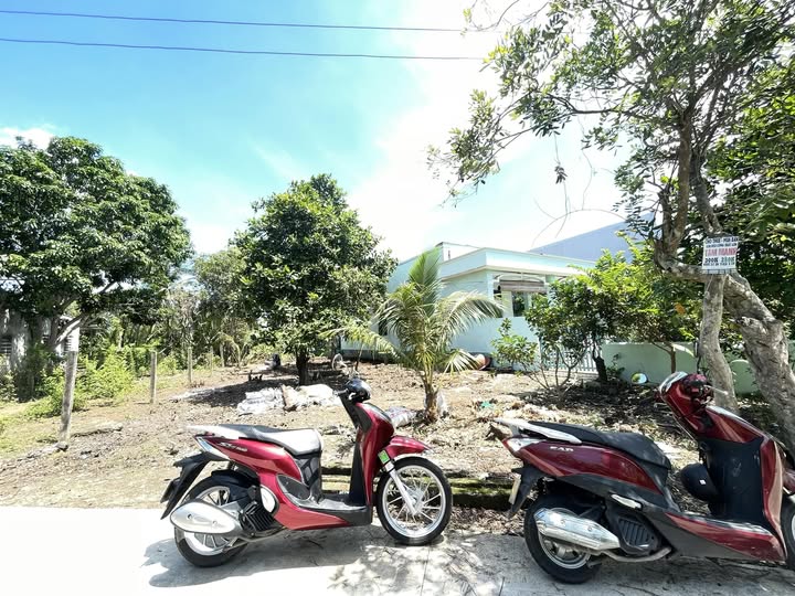 Đất nền Trần Văn Hiển, Phường 10, TP Mỹ Tho 100m² - Giá chỉ 1 tỷ, thương lượng tốt!