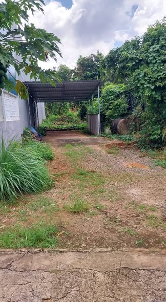 Đất nền Ngãi Giao, Châu Đức 168m² giá 1.5 tỷ - Đầu tư lý tưởng!